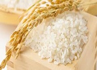 Thủ tục xuất khẩu gạo