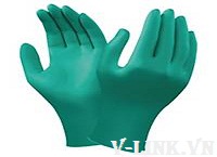 Thủ tục xuất khẩu găng tay y tế