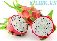 Thủ tục xuất khẩu thanh long