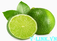 Thủ tục xuất khẩu chanh tươi