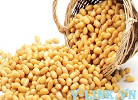 Thủ tục nhập khẩu đậu nành